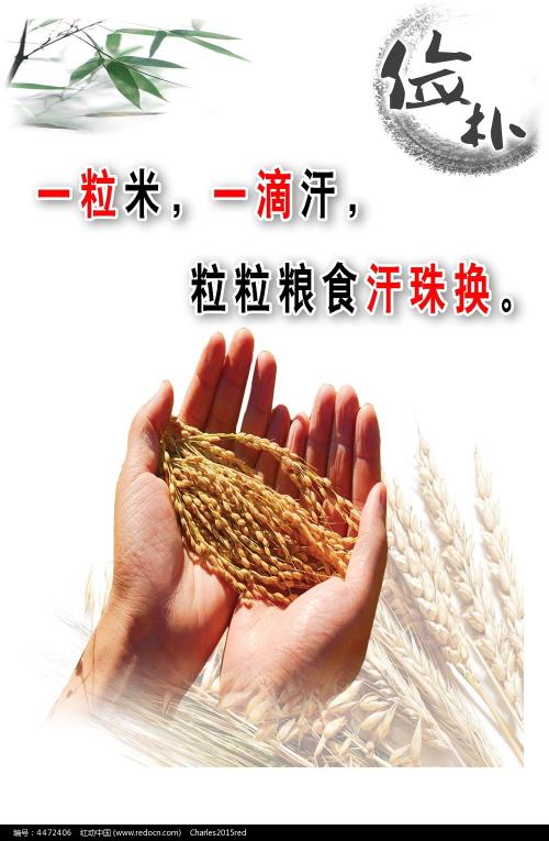 拉文纳美术学院 Computer Science Degree Certificate